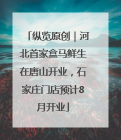 纵览原创｜河北首家盒马鲜生在唐山开业，石家庄门店预计8月开业