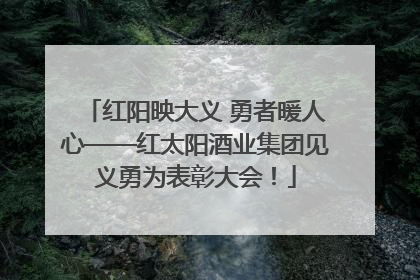 红阳映大义 勇者暖人心——红太阳酒业集团见义勇为表彰大会！