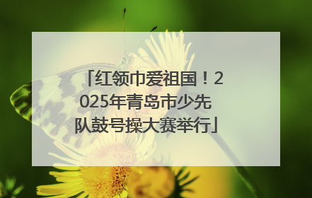 红领巾爱祖国！2025年青岛市少先队鼓号操大赛举行