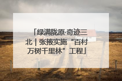 绿满陇原·奇迹三北｜张掖实施“百村万树千里林”工程