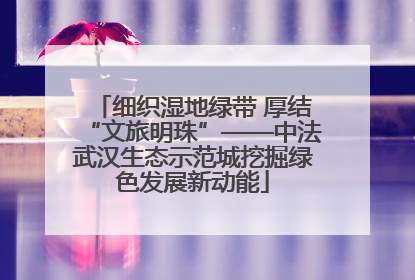 细织湿地绿带 厚结“文旅明珠”——中法武汉生态示范城挖掘绿色发展新动能