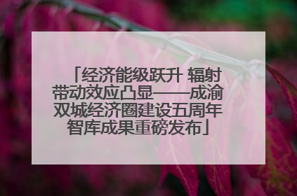 经济能级跃升 辐射带动效应凸显——成渝双城经济圈建设五周年智库成果重磅发布