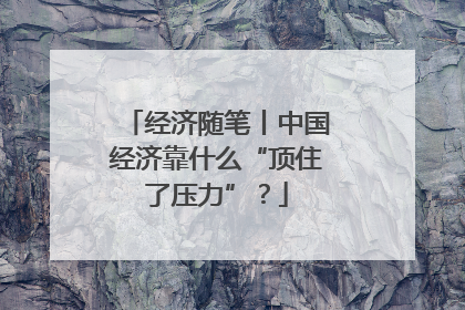经济随笔丨中国经济靠什么“顶住了压力”？