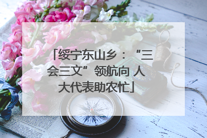 绥宁东山乡：“三会三文”领航向 人大代表助农忙