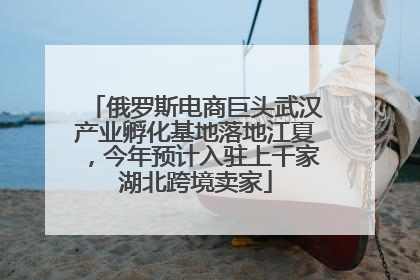 俄罗斯电商巨头武汉产业孵化基地落地江夏，今年预计入驻上千家湖北跨境卖家