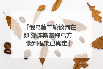俄乌第二轮谈判在即 泽连斯基称乌方谈判框架已确定