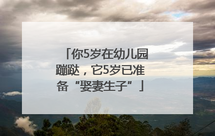你5岁在幼儿园蹦跶，它5岁已准备“娶妻生子”