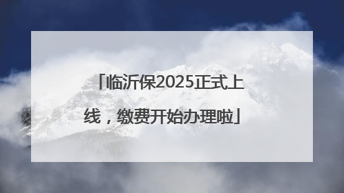 临沂保2025正式上线，缴费开始办理啦