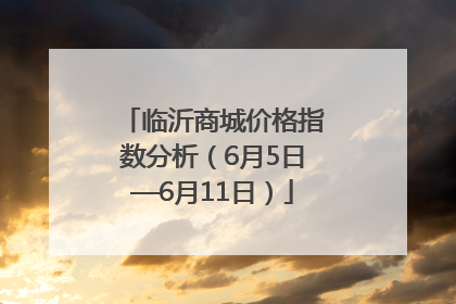 临沂商城价格指数分析（6月5日—6月11日）