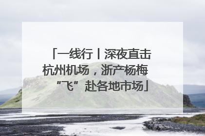 一线行丨深夜直击杭州机场，浙产杨梅“飞”赴各地市场
