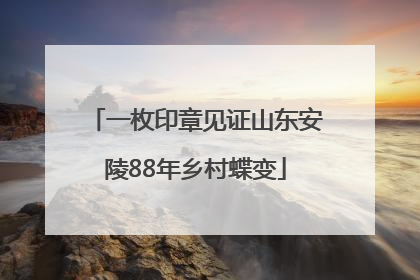 一枚印章见证山东安陵88年乡村蝶变