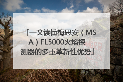一文读懂梅思安（MSA）FL5000火焰探测器的多重革新性优势