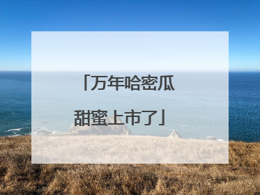 万年哈密瓜甜蜜上市了