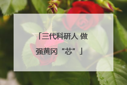 三代科研人 做强黄冈“芯”