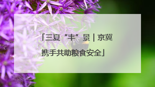 三夏“丰”景｜京冀携手共助粮食安全