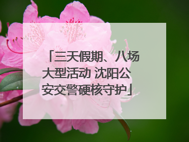 三天假期、八场大型活动 沈阳公安交警硬核守护