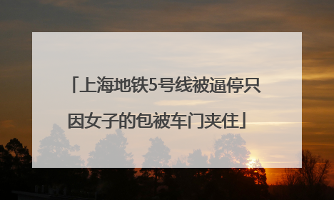 上海地铁5号线被逼停只因女子的包被车门夹住