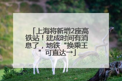 上海将新增2座高铁站！建成时间有消息了，地铁“换乘王”可直达→