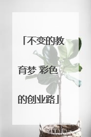 不变的教育梦 彩色的创业路