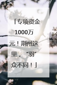 专项资金1000万元！荆州这里，“羽”众不同！