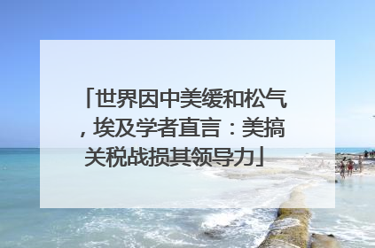 世界因中美缓和松气，埃及学者直言：美搞关税战损其领导力