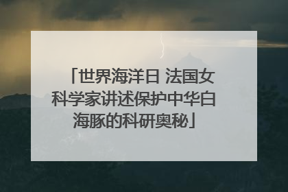 世界海洋日 法国女科学家讲述保护中华白海豚的科研奥秘