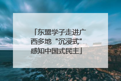 东盟学子走进广西多地“沉浸式”感知中国式民主
