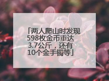 两人爬山时发现598枚金币重达3.7公斤，还有10个金手镯等