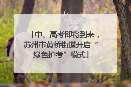 中、高考即将到来，苏州市黄桥街道开启“绿色护考”模式