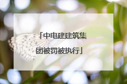 中电建建筑集团被罚被执行