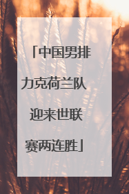 中国男排力克荷兰队 迎来世联赛两连胜