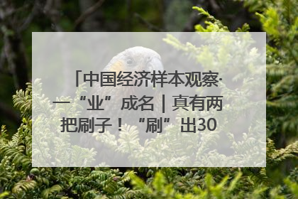 中国经济样本观察·一“业”成名｜真有两把刷子！“刷”出30亿级“颜值经济”