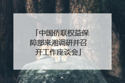 中国侨联权益保障部来湘调研并召开工作座谈会