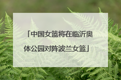 中国女篮将在临沂奥体公园对阵波兰女篮