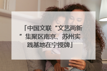 中国文联“文艺两新”集聚区南京、苏州实践基地在宁授牌