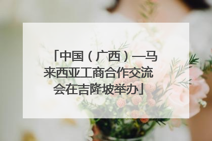 中国（广西）—马来西亚工商合作交流会在吉隆坡举办