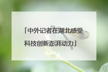 中外记者在湖北感受科技创新澎湃动力