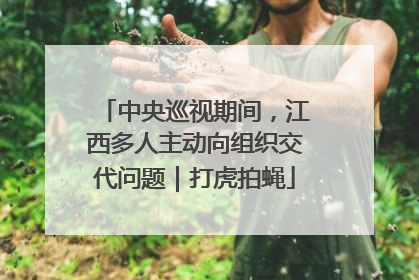 中央巡视期间，江西多人主动向组织交代问题｜打虎拍蝇