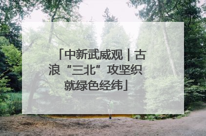 中新武威观｜古浪“三北”攻坚织就绿色经纬
