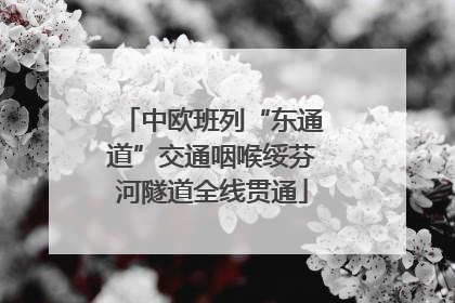 中欧班列“东通道”交通咽喉绥芬河隧道全线贯通