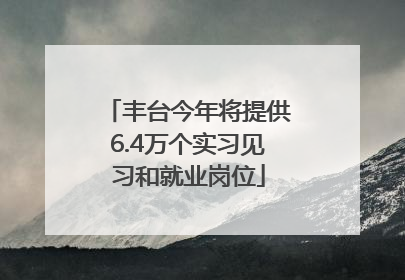 丰台今年将提供6.4万个实习见习和就业岗位