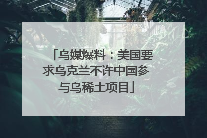 乌媒爆料：美国要求乌克兰不许中国参与乌稀土项目