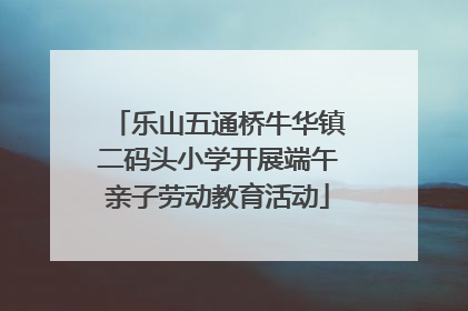 乐山五通桥牛华镇二码头小学开展端午亲子劳动教育活动