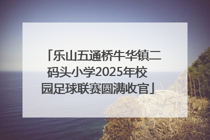 乐山五通桥牛华镇二码头小学2025年校园足球联赛圆满收官