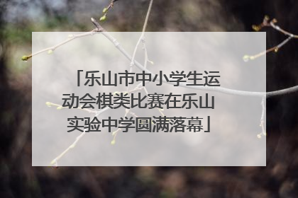 乐山市中小学生运动会棋类比赛在乐山实验中学圆满落幕