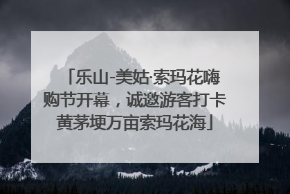 乐山-美姑·索玛花嗨购节开幕，诚邀游客打卡黄茅埂万亩索玛花海