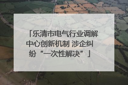 乐清市电气行业调解中心创新机制 涉企纠纷“一次性解决”
