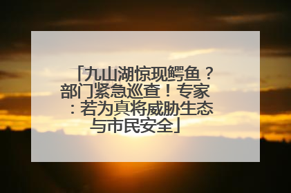 九山湖惊现鳄鱼？部门紧急巡查！专家：若为真将威胁生态与市民安全