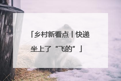 乡村新看点丨快递坐上了“飞的”