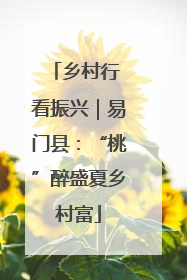乡村行 看振兴｜易门县：“桃”醉盛夏乡村富
